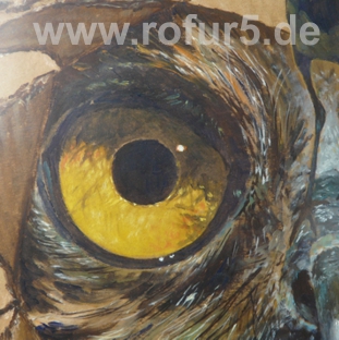 Augenblick mal du Auge des Uhus  (Rolf Fuhrmann, Tempera-Malerei)