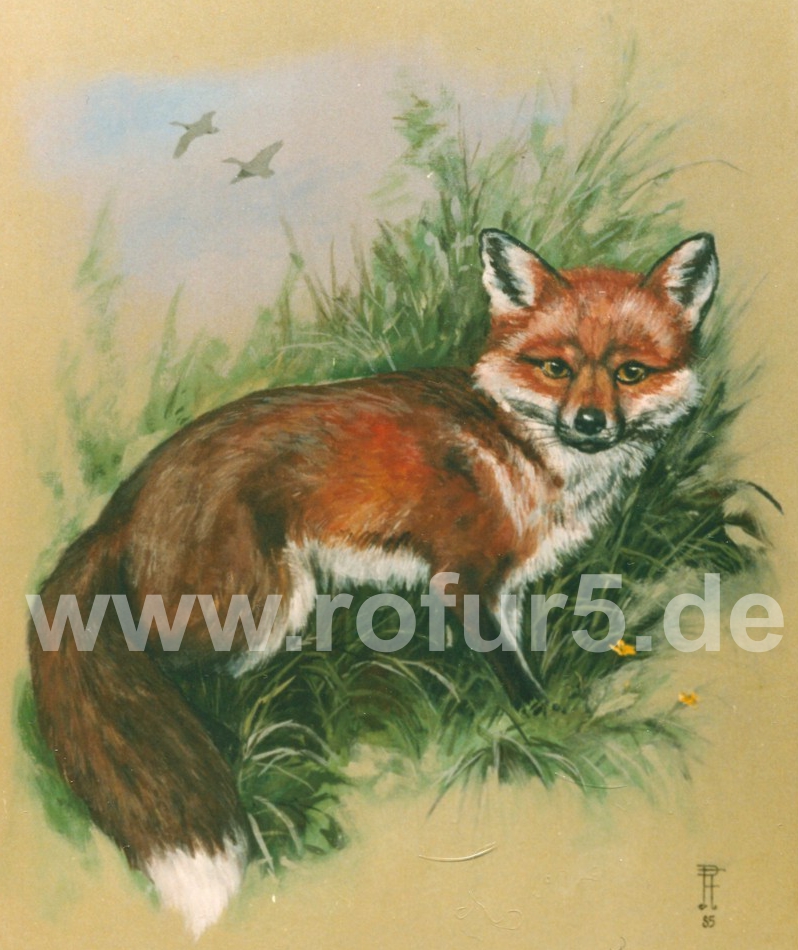 Rolf Fuhrmann, Malerei: Tempera auf Leinwand. Fuchs, 50x60cm, 1985